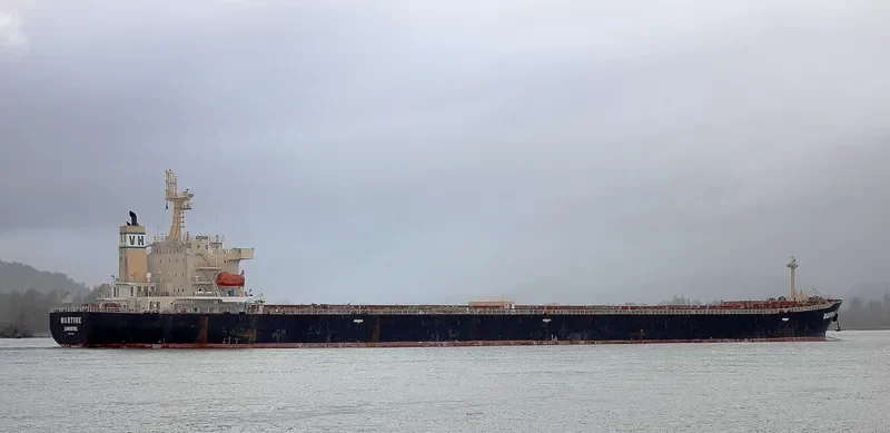 MARTINE Bulk Carrier IMO 9411537 photo 2