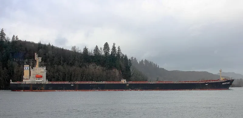 MARTINE Bulk Carrier IMO 9411537 photo 3
