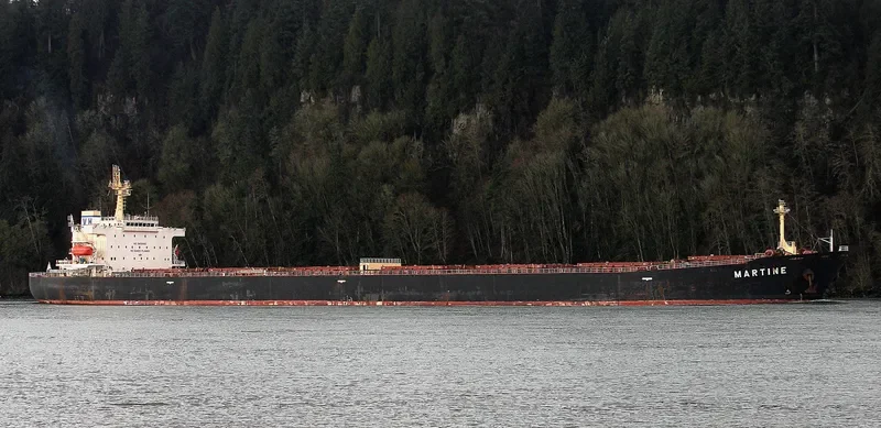 MARTINE Bulk Carrier IMO 9411537 photo 4