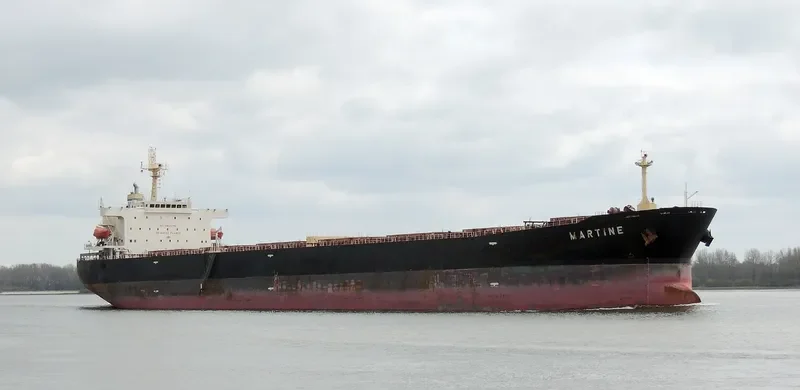 MARTINE Bulk Carrier IMO 9411537 photo 10