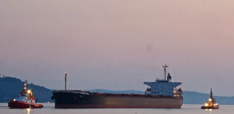 TRISTEN Tanker IMO 9411692 photo 3