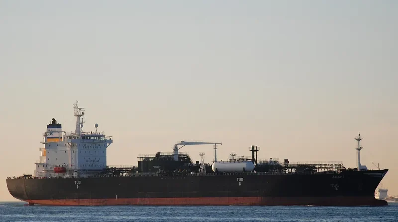 ANAFI General Cargo IMO 9411733 photo 8