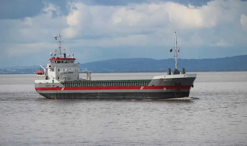 HESTIA General Cargo IMO 9411783 photo 6