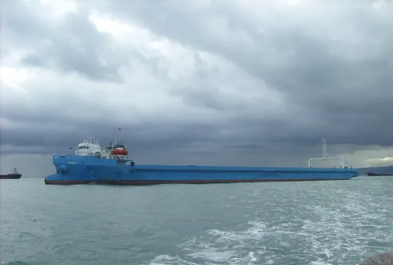 BFI 1 Ro-Ro IMO 9411874 photo 8