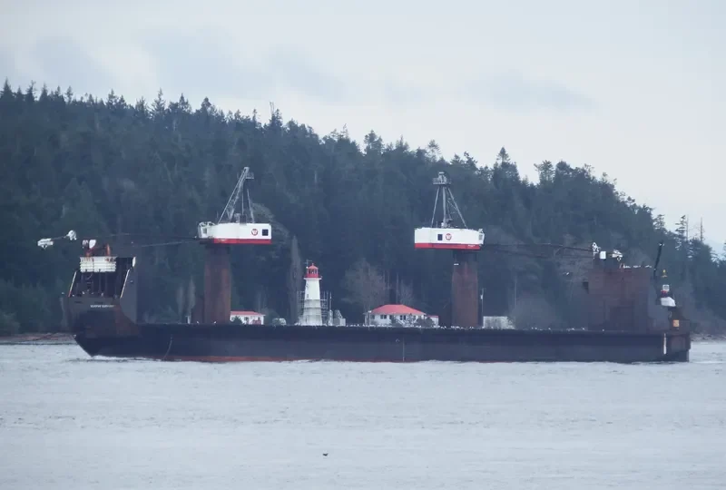 SEASPAN ROGUE General Cargo IMO 9412127