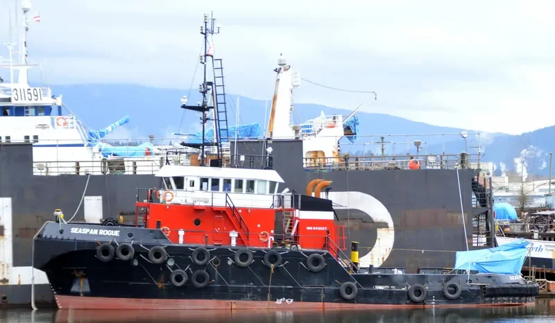 SEASPAN ROGUE General Cargo IMO 9412127 photo 3