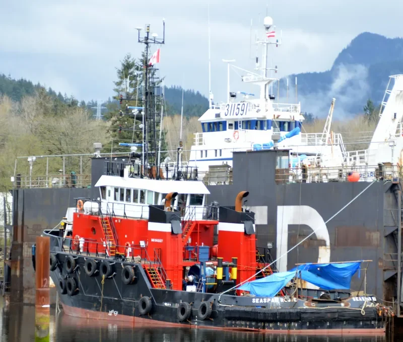 SEASPAN ROGUE General Cargo IMO 9412127 photo 4