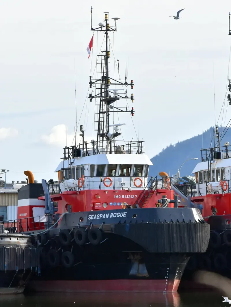 SEASPAN ROGUE General Cargo IMO 9412127 photo 6