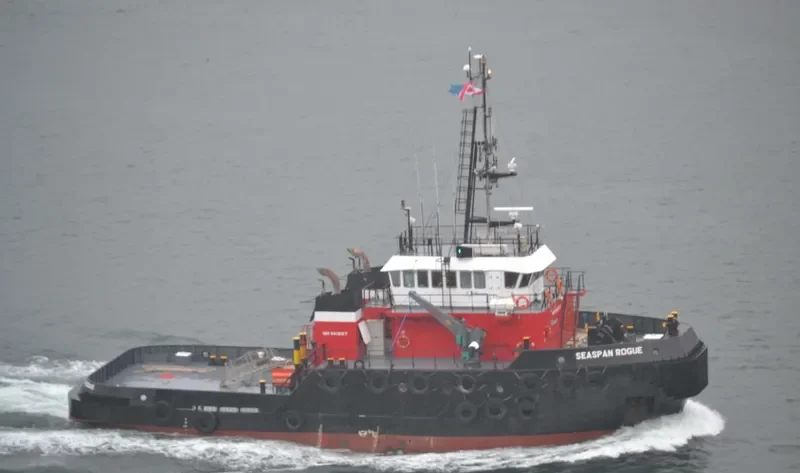 SEASPAN ROGUE General Cargo IMO 9412127 photo 7