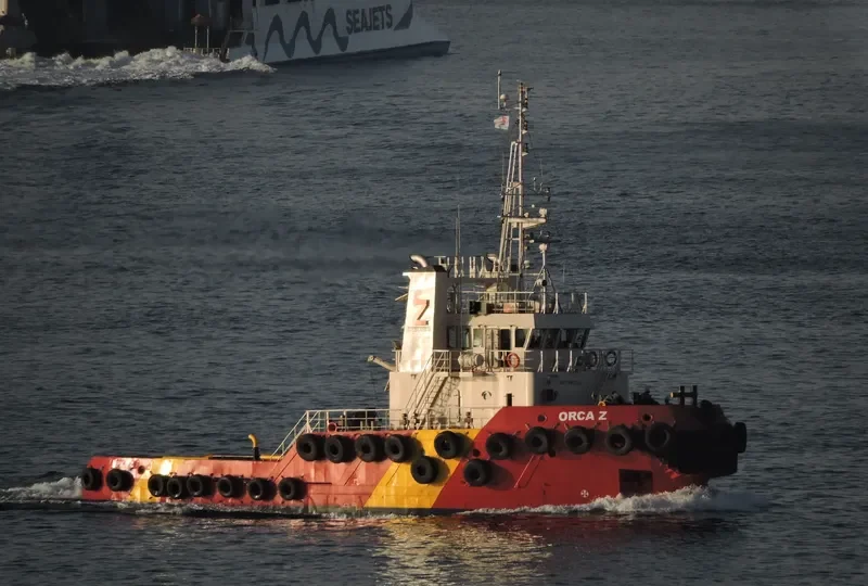 GANNET General Cargo IMO 9412141 photo 7