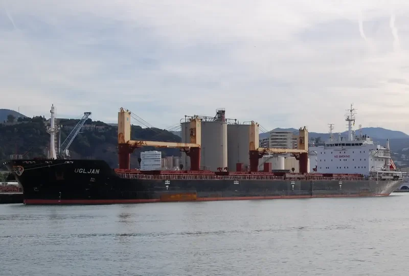 UGLJAN Bulk Carrier IMO 9412294 photo 4