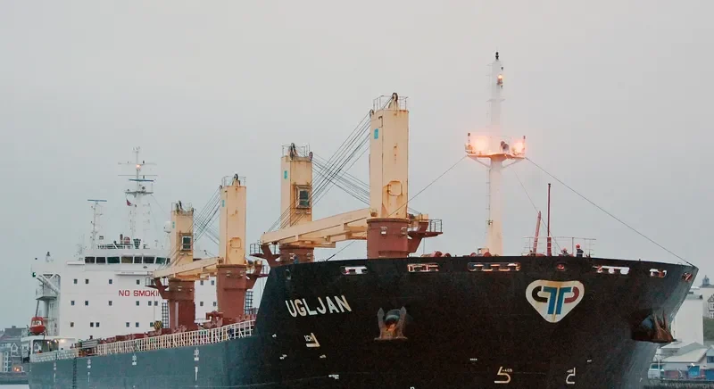 UGLJAN Bulk Carrier IMO 9412294 photo 9