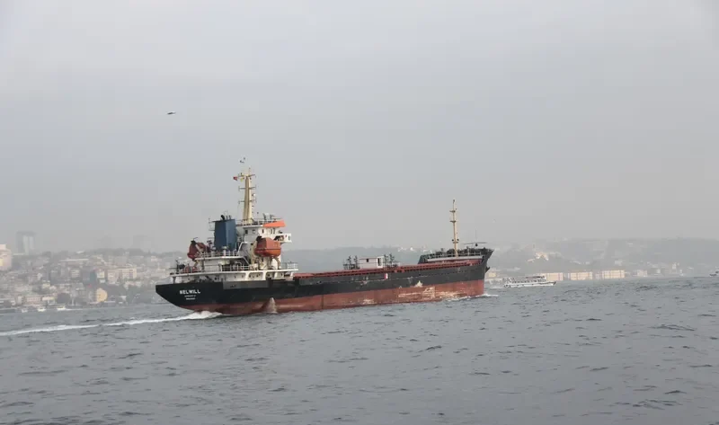 MELWILL General Cargo IMO 9412323