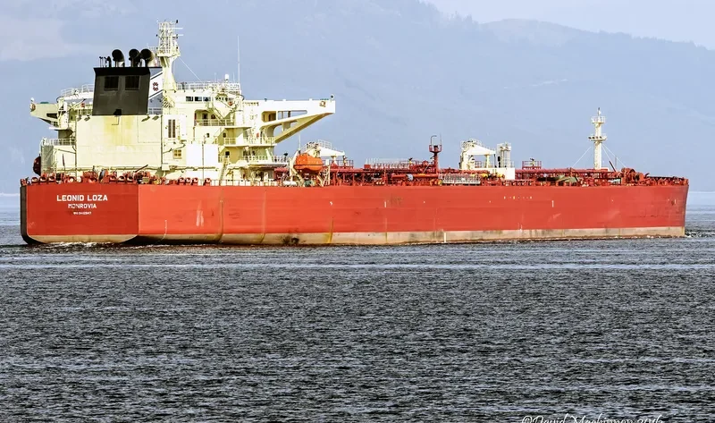LEONID LOZA Tanker IMO 9412347 photo 6