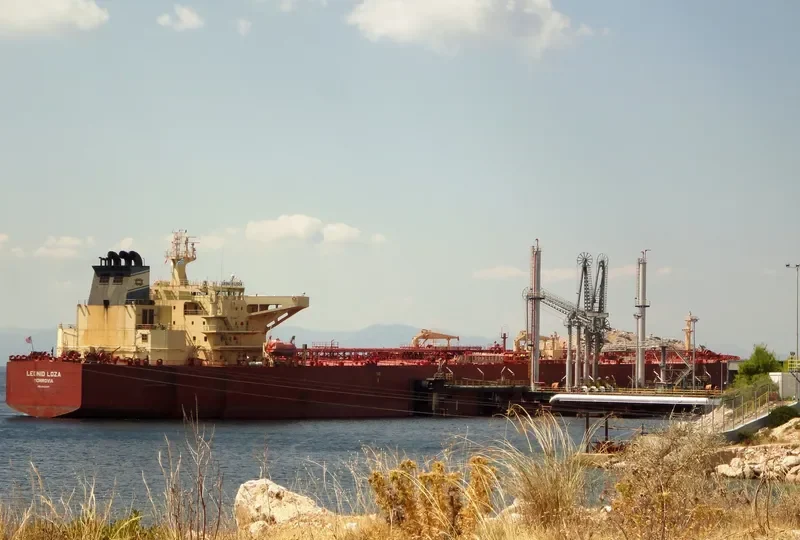 LEONID LOZA Tanker IMO 9412347 photo 10