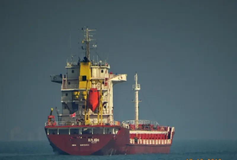 CITRINE General Cargo IMO 9412361 photo 6