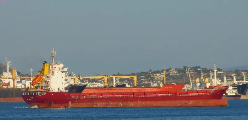 CITRINE General Cargo IMO 9412361 photo 8