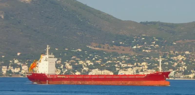 CITRINE General Cargo IMO 9412361 photo 9