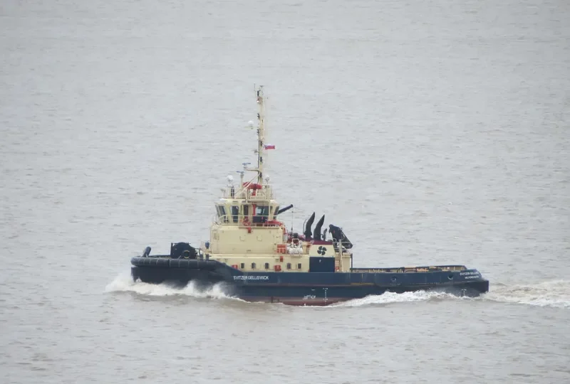 SVITZER GELLISWICK General Cargo IMO 9412373 photo 9