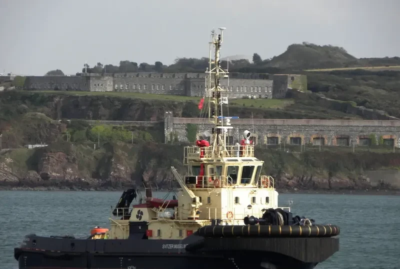 SVITZER MUSSELWICK General Cargo IMO 9412385 photo 7