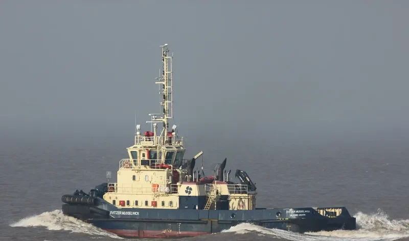 SVITZER MUSSELWICK General Cargo IMO 9412385 photo 10