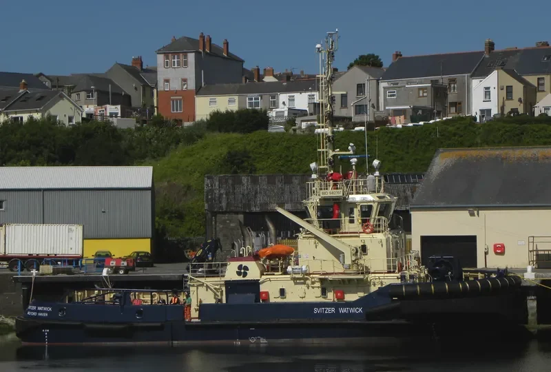 SVITZER WATWICK General Cargo IMO 9412397 photo 6