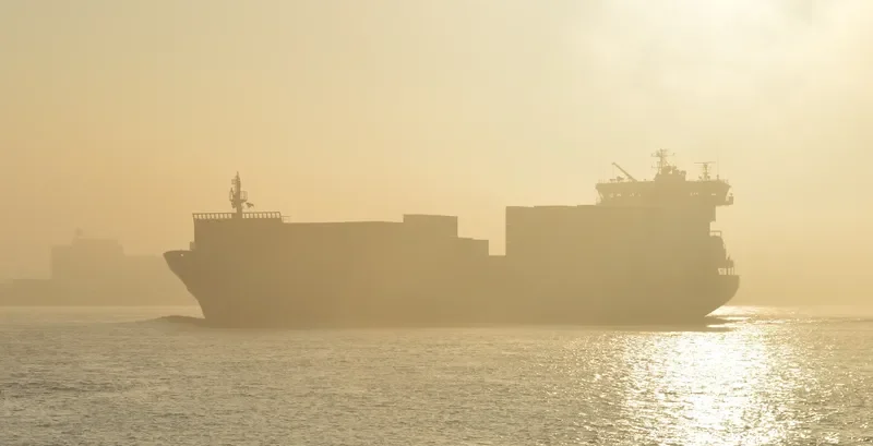 ELBSKY Container Ship IMO 9412531 photo 8