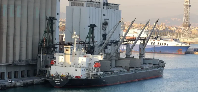 ALICE STAR Bulk Carrier IMO 9412610