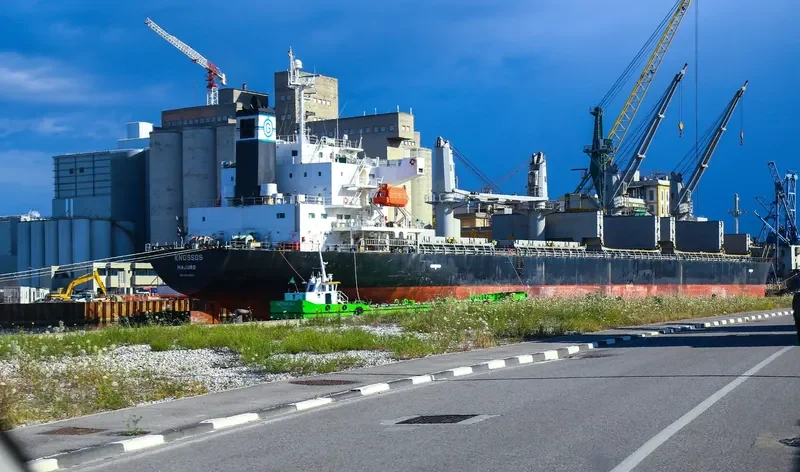 ALICE STAR Bulk Carrier IMO 9412610 photo 3