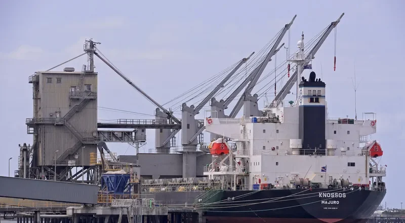 ALICE STAR Bulk Carrier IMO 9412610 photo 4