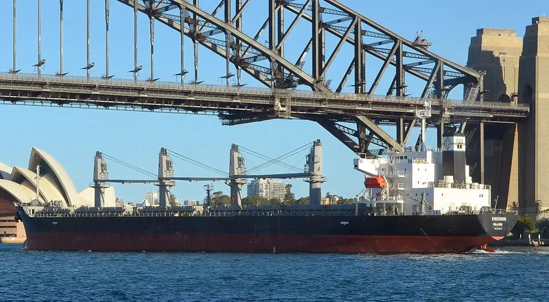 ALICE STAR Bulk Carrier IMO 9412610 photo 5