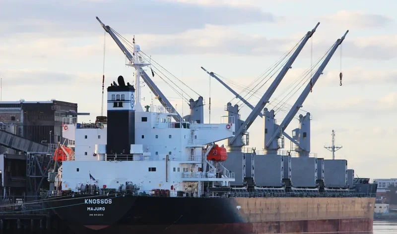 ALICE STAR Bulk Carrier IMO 9412610 photo 6