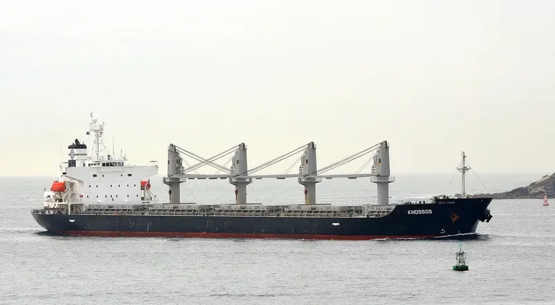 ALICE STAR Bulk Carrier IMO 9412610 photo 7