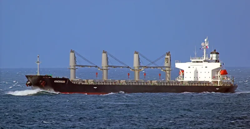 ALICE STAR Bulk Carrier IMO 9412610 photo 9