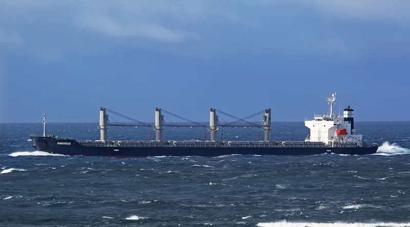 ALICE STAR Bulk Carrier IMO 9412610 photo 10