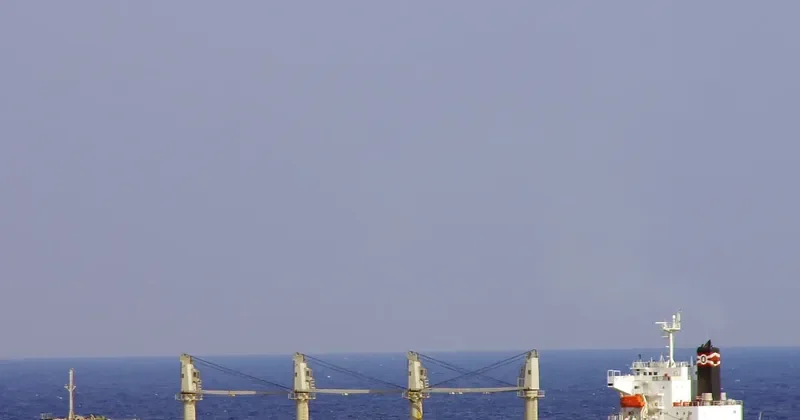 PAX Bulk Carrier IMO 9412622
