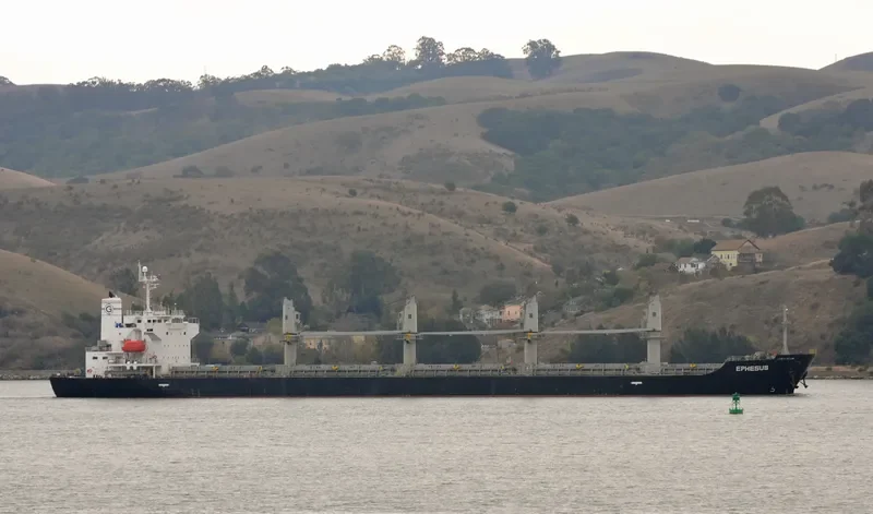PAX Bulk Carrier IMO 9412622 photo 3