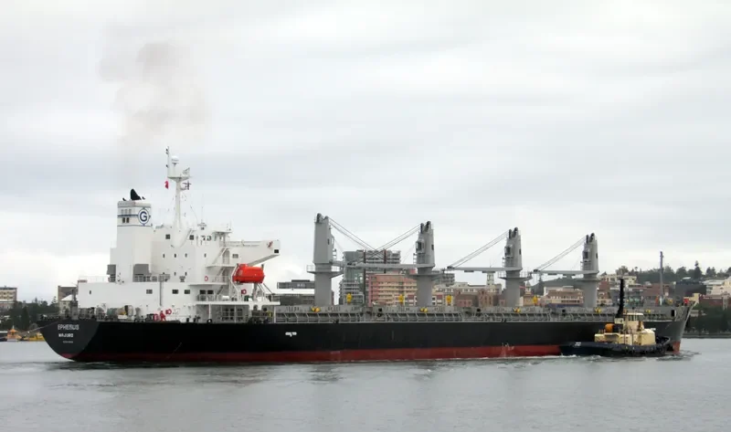 PAX Bulk Carrier IMO 9412622 photo 7
