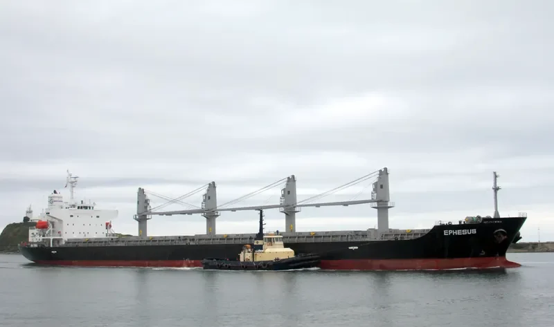 PAX Bulk Carrier IMO 9412622 photo 8
