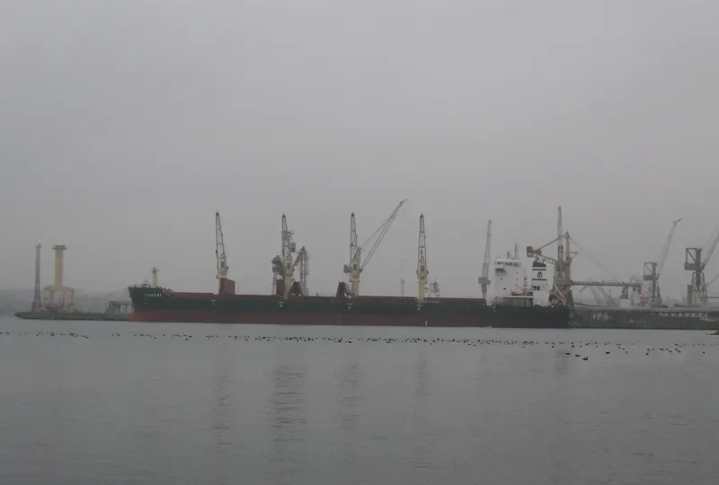 KAMARI Bulk Carrier IMO 9412634