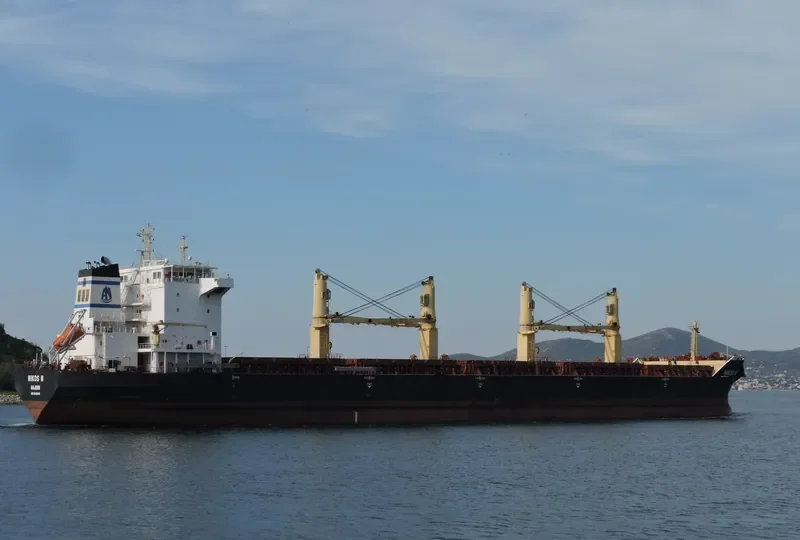 NIKOS N Bulk Carrier IMO 9412646 photo 3