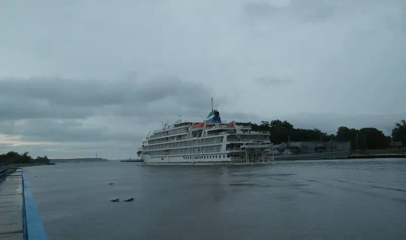 PEARL MIST Passenger Ship IMO 9412701 photo 2