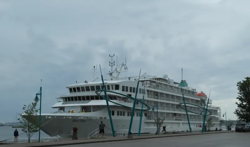 PEARL MIST Passenger Ship IMO 9412701 photo 5