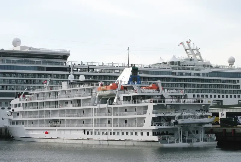 PEARL MIST Passenger Ship IMO 9412701 photo 7