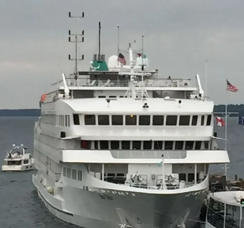 PEARL MIST Passenger Ship IMO 9412701 photo 10