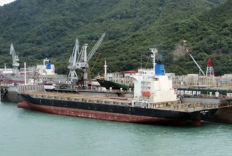 WHITE DRAGON Container Ship IMO 9412816 photo 8