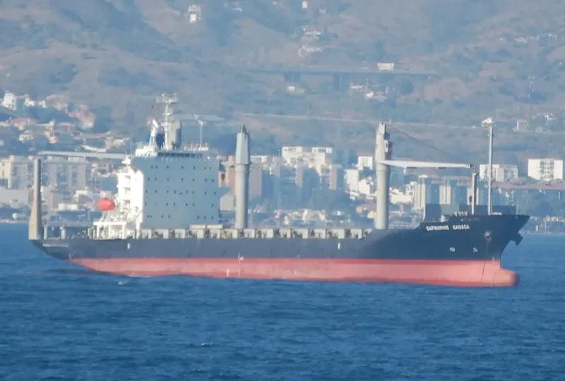 CELSIUS NEW ORLEANS Container Ship IMO 9412842 photo 2