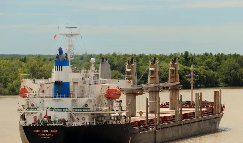 PARANA WARRIOR Bulk Carrier IMO 9412945 photo 4