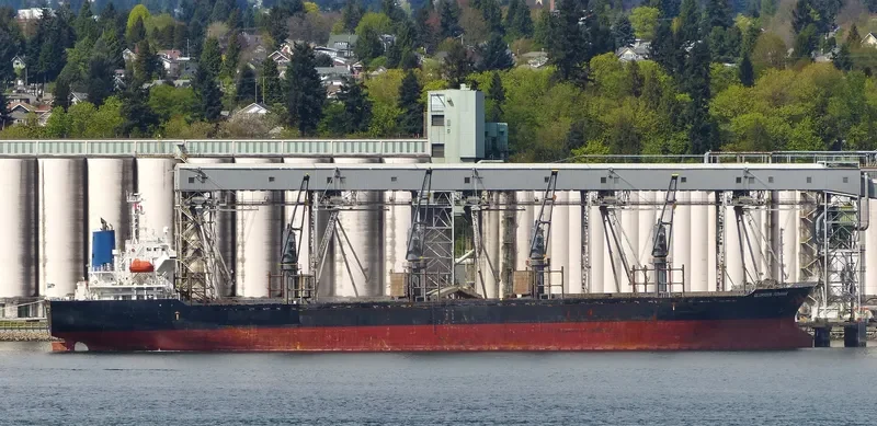 HTK LOTUS Bulk Carrier IMO 9412957 photo 2
