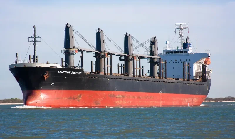 HTK LOTUS Bulk Carrier IMO 9412957 photo 6
